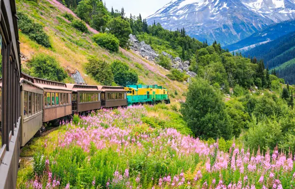 Folge den Goldgräbern in Skagway